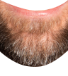 Adam's Chin